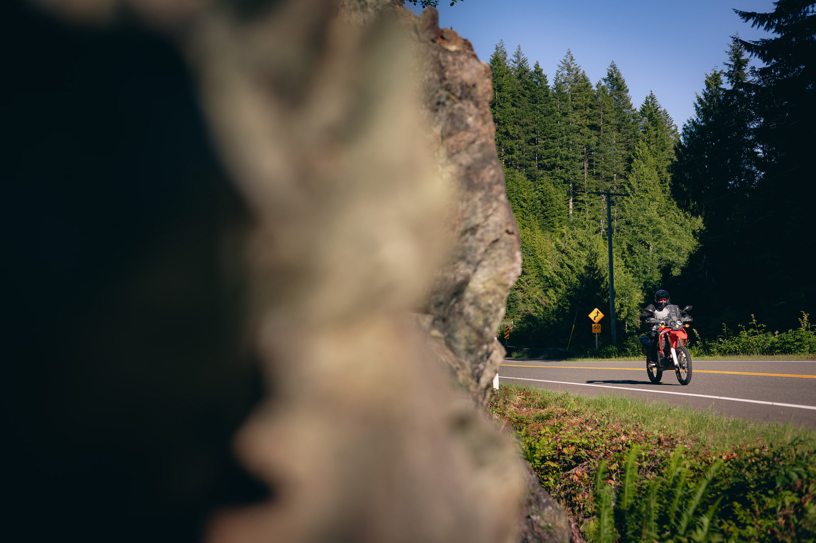 5 Beginner Motorcycles in Canada And The Gear That Goes With Them